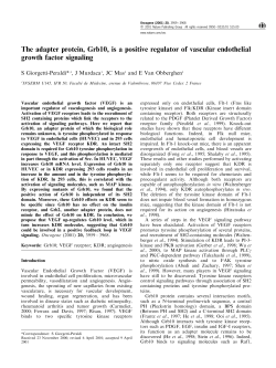 The adapter protein, Grb10, is a positive regulator of