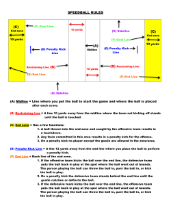 Speedball Study Guide