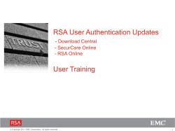 RSA IT Business Applications Remediation Plan