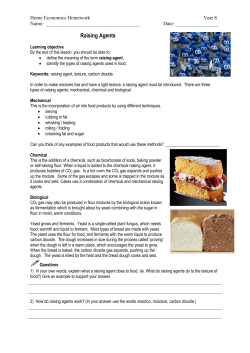 Raising Agents - DagfaSchoolHomeEconomics