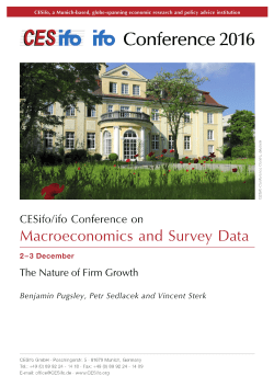 The Nature of Firm Growth
