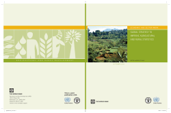 global strategy to improve agricultural and rural statistics