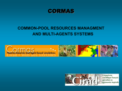 Simulation des syst&egrave;mes complexes - Cormas