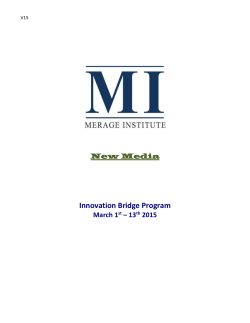 Merage Institute Innovation Bridge Leadership Program