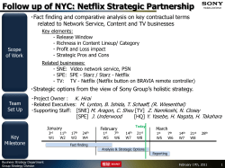 Netflix_Issues_Progress_Report_rev 1