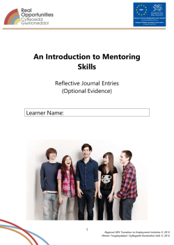 Mentoring Skills Journal