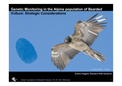 Genetic Monitoring in the Alpine population of Bearded
