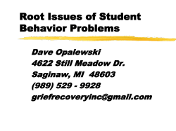 Root Issues of Student Behavior Problems