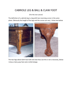 Cabriolet Leg with Ball and Claw Feet