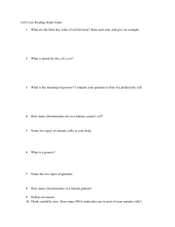 Cell Cycle Reading Study Guide What are the three key roles of cell