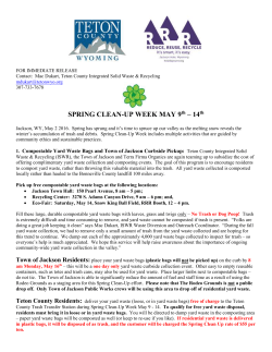 SPRING CLEAN-UP WEEK MAY 9 th