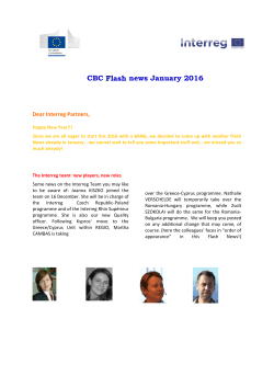 The Interreg team: new players, new roles