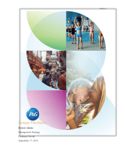 Strategic Plan Report