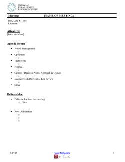 Template Meeting Agenda