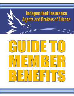 Independent Insurance Agents and Brokers of Arizona, Inc.