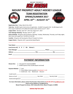 mount prospect adult hockey league