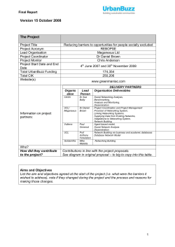 Interim activity report template