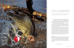 cool crappies - North Carolina Wildlife Resources Commission