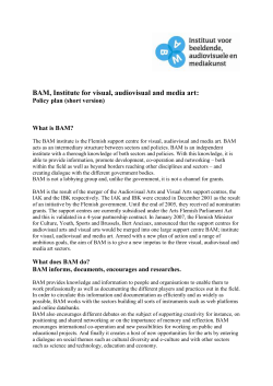 BAM, Institute for visual, audiovisual and media art: Policy plan