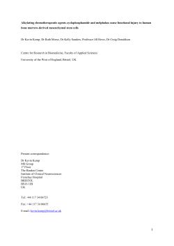 Morphology of MSCs after exposure to chemotherapeutic agents