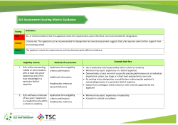 Assessment Scoring Matrix Guidance
