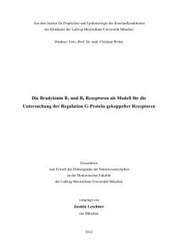 Die Bradykinin B1 und B2 Rezeptoren als Modell f&uuml;r die