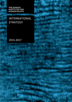 international strategy - The Danish Institute for Human Rights