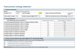 Pupil Premium Strategy Report DCE