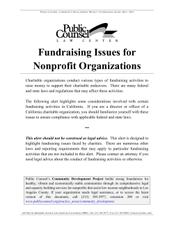 Fundraising Issues for Nonprofit Organizations