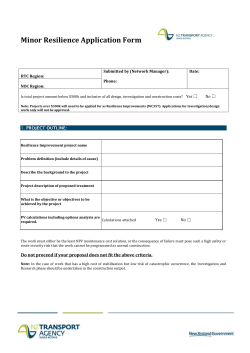 Minor resilience application form ($300k)