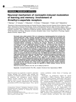 Neuronal mechanism of nociceptin-induced modulation of learning