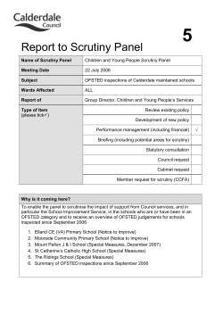 Scrutiny Report Template