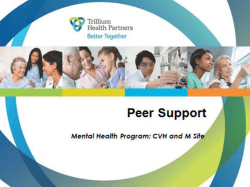 Peer Support