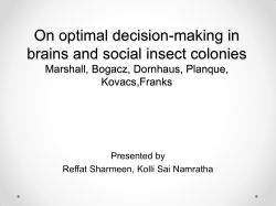 On optimal decision-making in brains and social insect colonies