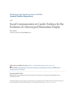 Social Communication in Canids: Evidence for the Evolution of a