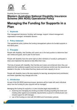 Managing the funding for supports in a plan