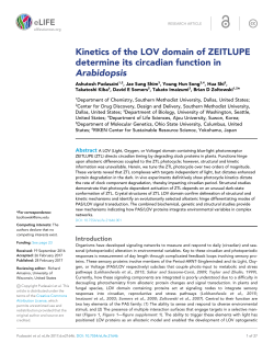 Kinetics of the LOV domain of ZEITLUPE determine its circadian