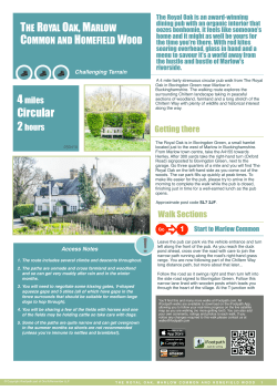 The Royal Oak, Marlow Common and Homefield Wood