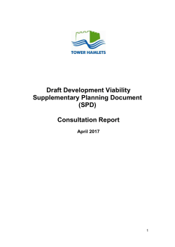 Consultation Report (2017)