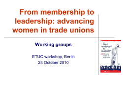 Aims of the working groups Define strategy to advance
