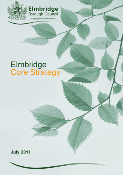 Elmbridge Core Strategy