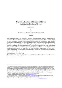 Capital Allocation Efficiency of Firms Outside the Business Group*