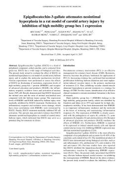 Epigallocatechin‑3‑gallate attenuates neointimal hyperplasia in a rat