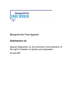 Blueprint for Free Speech