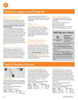 Hockey Leagues and Drop-In Youth Hockey