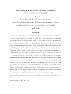 The Efficiency of Voluntary Pollution Abatement