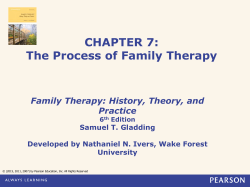 The Process of Family Therapy