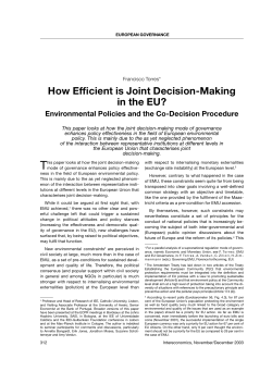 How Efficient is Joint Decision-Making in the EU?