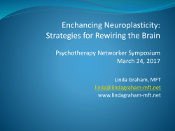 presentation as PowerPoint slides