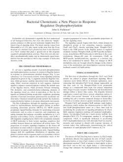 Bacterial Chemotaxis: a New Player in